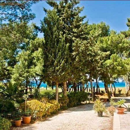 Appartamento I Tramonti Di Cofano Castelluzzo Buitenkant foto