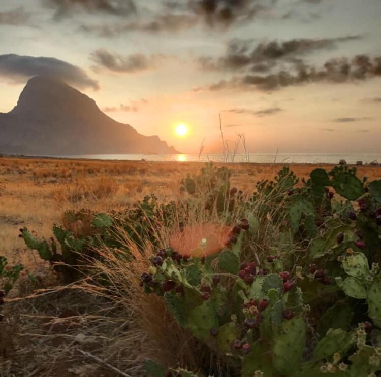 Appartamento I Tramonti Di Cofano Castelluzzo Buitenkant foto
