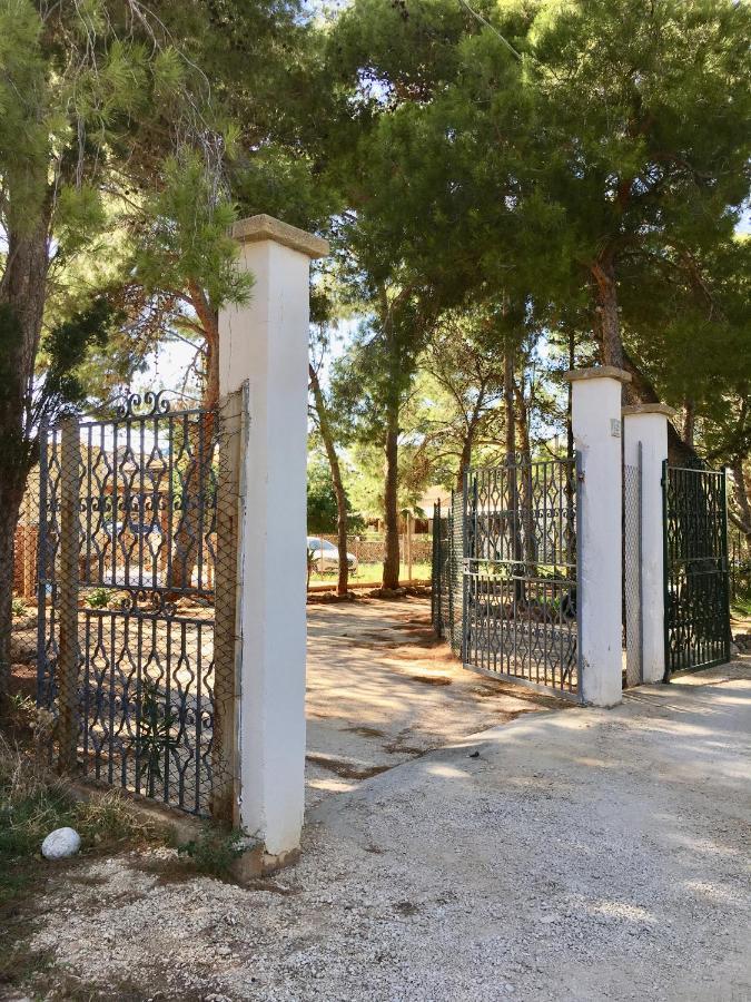 Appartamento I Tramonti Di Cofano Castelluzzo Buitenkant foto