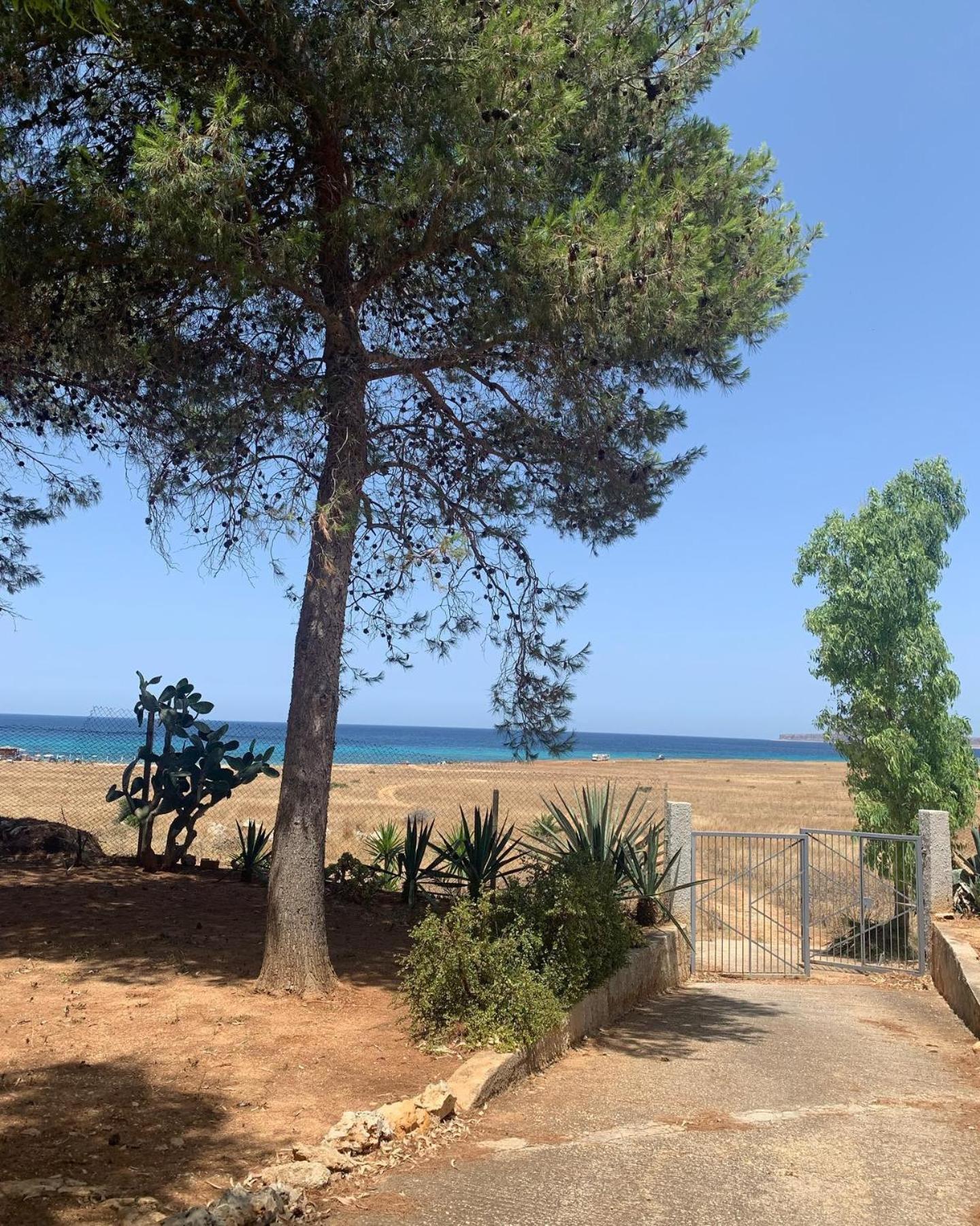 Appartamento I Tramonti Di Cofano Castelluzzo Buitenkant foto